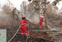 Sejumlah personel gabungan terus berjibaku memadamkan api yang membakar lahan di Kota Singkawang, Kalimantan Barat pada Jumat (4/9).