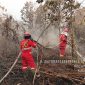 Sejumlah personel gabungan terus berjibaku memadamkan api yang membakar lahan di Kota Singkawang, Kalimantan Barat pada Jumat (4/9).